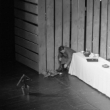 Репетиция и показ спектакля «Господа Головлёвы» на фестивале «Старейшие театры России в Калуге»