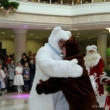 «Ёлочки» продолжаются