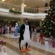 «Ёлочки» продолжаются